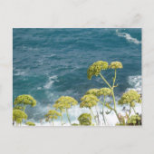 Carte postale Ocean (Devant)