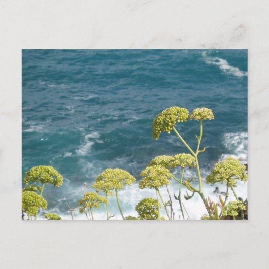 Carte postale Ocean (Devant)