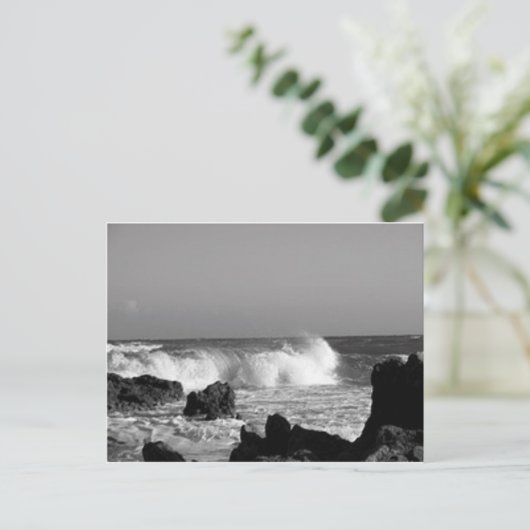 Carte Postale Océan (Debout devant)