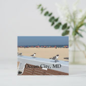 Carte Postale Ocean City Beach, MD avec oiseaux (Debout devant)