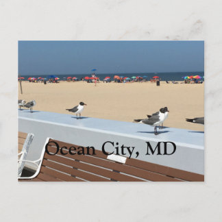 Carte Postale Ocean City Beach, MD avec oiseaux