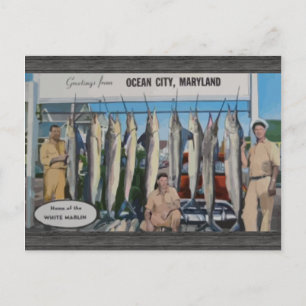 Carte Postale Ocean City, Maryland Maison Du Marlin Blanc, Vin