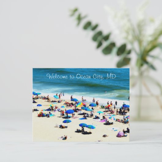 Carte Postale Ocean city md (Debout devant)