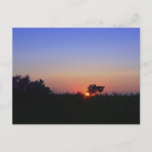 CARTE POSTALE OCEAN CITY MD (Devant)