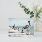 Carte Postale Océan côtier Pélican (Debout devant)