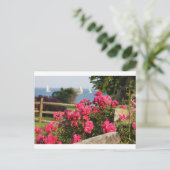 Carte Postale Océan, Fleurs (Debout devant)