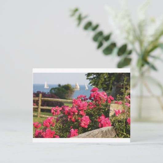 Carte Postale Océan, Fleurs (Debout devant)