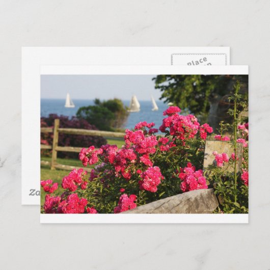 Carte Postale Océan, Fleurs (Devant / Derrière)