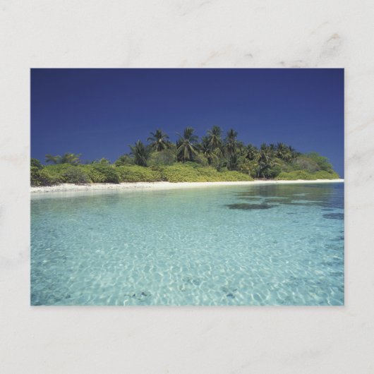 Carte Postale Océan Indien, îles Maldives. (MR) (Devant)
