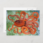 Carte Postale Océan octopique Vintage (Devant / Derrière)