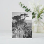 Carte Postale Océan Pacifique (Debout devant)