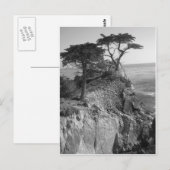 Carte Postale Océan Pacifique (Devant / Derrière)