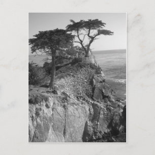 Carte Postale Océan Pacifique