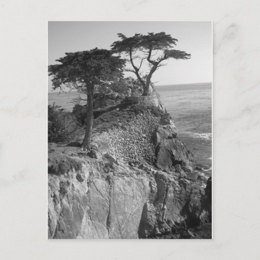 Carte Postale Océan Pacifique (Devant)