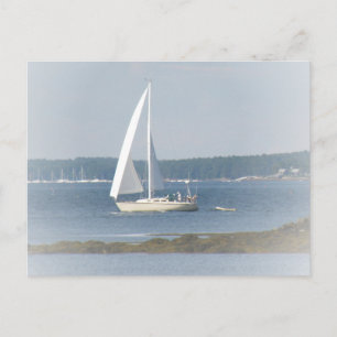 Carte postale Ocean Sail