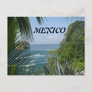 Carte postale Ocean Trees