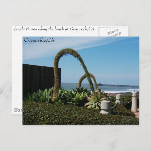 Carte Postale Oceanside, Ca, Oceanside, CA (Devant / Derrière)