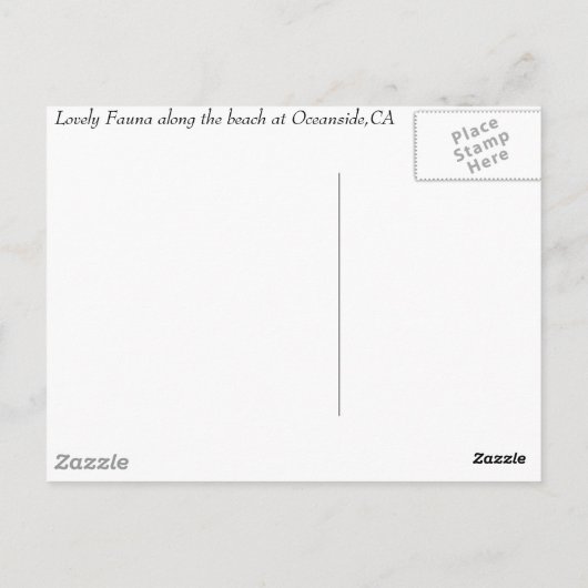 Carte Postale Oceanside, Ca, Oceanside, CA (Dos)