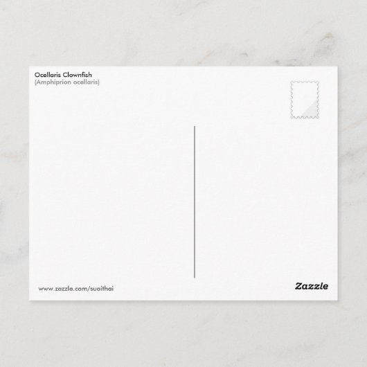 Carte Postale Ocellaris Clowfish (Dos)