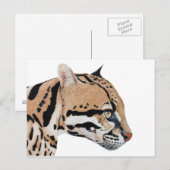 Carte Postale Ocelot (Devant / Derrière)