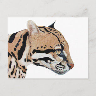 Carte Postale Ocelot
