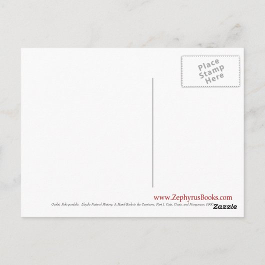 Carte Postale Ocelot (Dos)