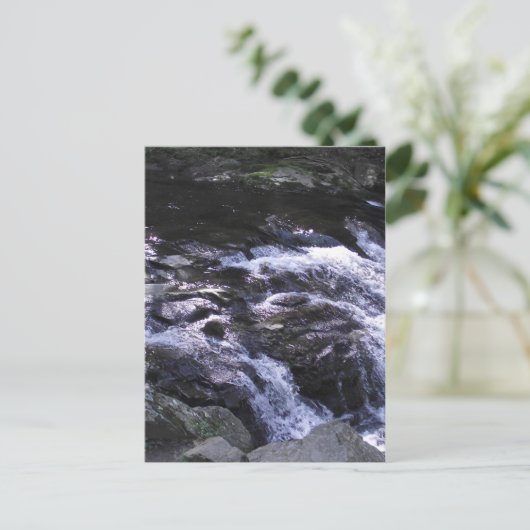 Carte Postale Ocoee (Debout devant)