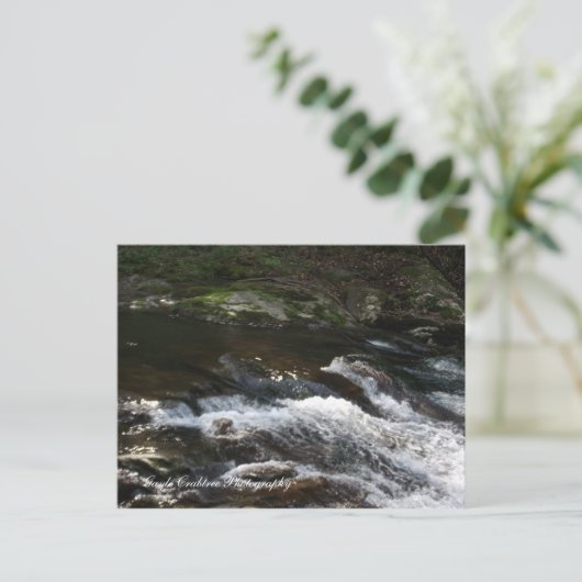 Carte Postale Ocoee River, Tennessee (Debout devant)