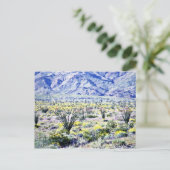 Carte Postale Ocotillo Et Fleurs Du Désert En Fleur (Debout devant)