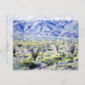 Carte Postale Ocotillo Et Fleurs Du Désert En Fleur (Devant / Derrière)