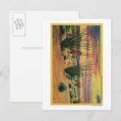 Carte Postale Ocotillo Flowers en Fleur, Californie DésertStat (Devant / Derrière)