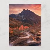 Carte Postale October Light on Headlight (Devant)