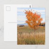 Carte Postale Octobre brillant (Devant / Derrière)