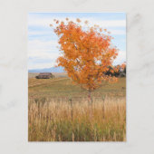 Carte Postale Octobre brillant (Devant)