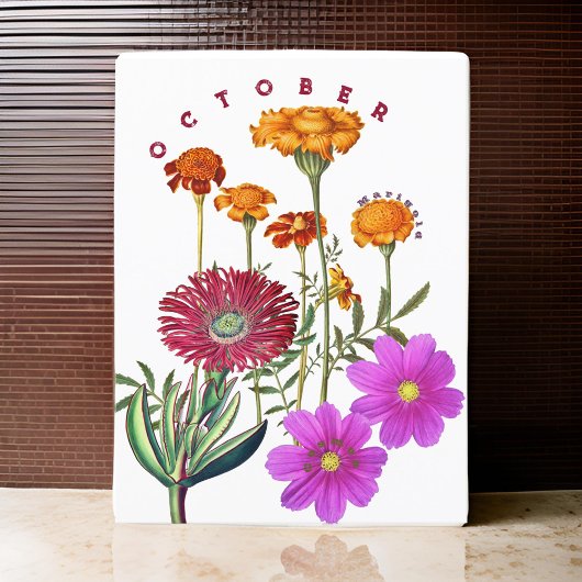 Carte Postale Octobre Mois Fleurs Marigold & Cosmos |