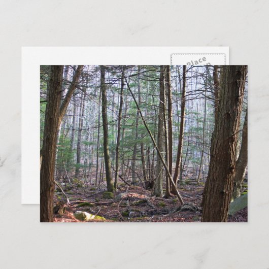 Carte postale Octobre Mountain (Devant / Derrière)