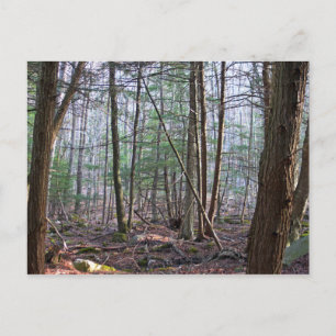 Carte postale Octobre Mountain