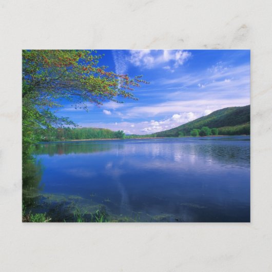 Carte Postale Octobre Mountain State Forest Berkshires (Devant)