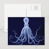 Carte postale Octopus (Devant / Derrière)