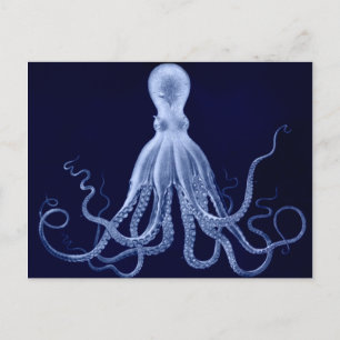 Carte postale Octopus