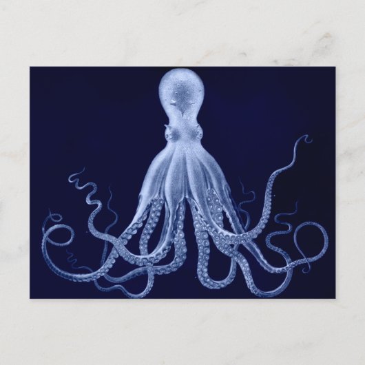 Carte postale Octopus (Devant)