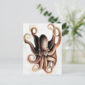 Carte postale Octopus (Debout devant)