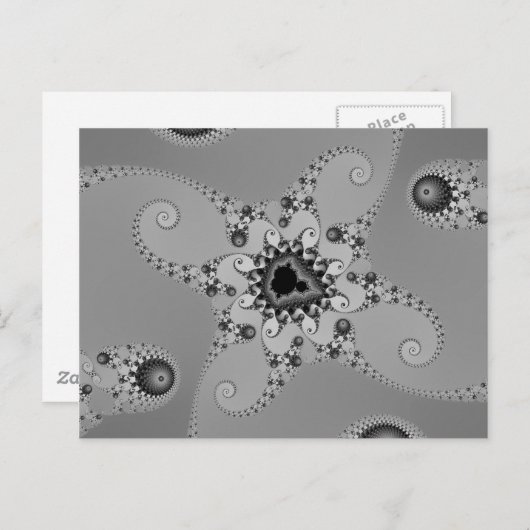 Carte postale Octopus en niveaux de gris (Devant / Derrière)