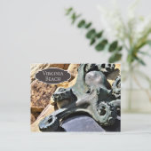 Carte Postale Octopus et Rocks Beach Virginia Beach (Debout devant)
