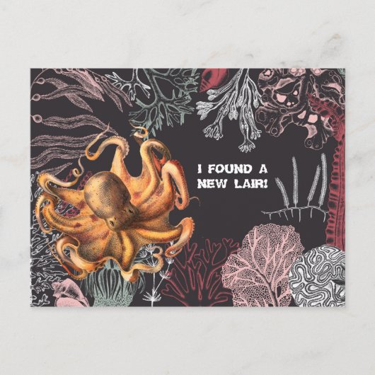 Carte Postale Octopus Garden Changement d'adresse (Devant)