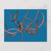 Carte Postale Octopus géant (Devant)