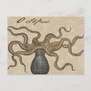 Carte Postale Octopus Kraken Illustration Vintage