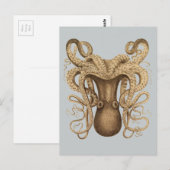 Carte Postale Octopus Marmoratus (bleu) (Devant / Derrière)