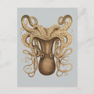 Carte Postale Octopus Marmoratus (bleu)