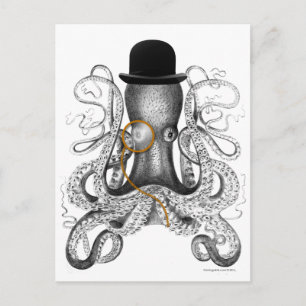 Carte Postale Octopus Monocle Bowler Curiosité Casquette
